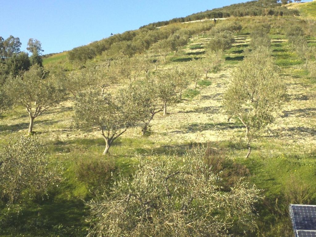 Agriturismo Due Ganee Villa Agrigento Kültér fotó